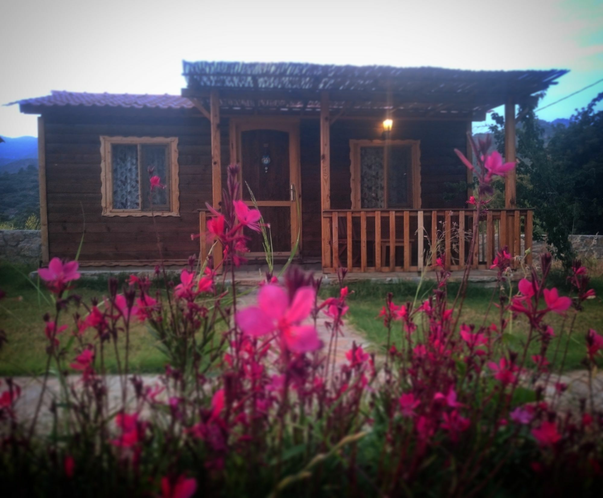 Ipekce Tatil Evleri Mesudiye  Luaran gambar